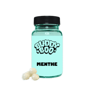 Bonbon MENTHE - BUDDY BOO