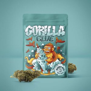 Fleur CBD sans THC Gorilla Glue avec un arôme intense et une qualité suisse