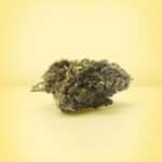 Photo de fleur CBD sans THC Pineapple Express de la marque BUDDY BOO