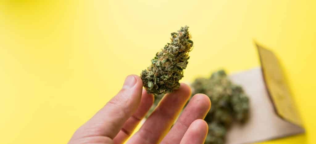 fleur CBD sans THC à fumer