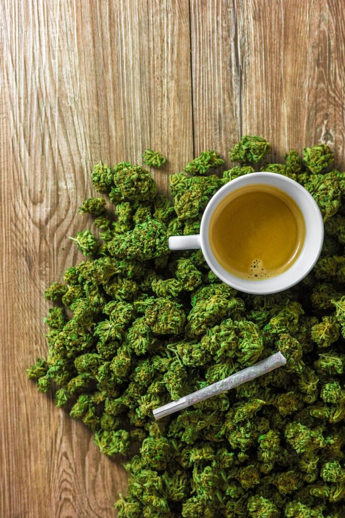 cbd avec sans thc
