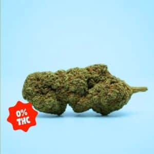 og kush fleur CBD sans THC