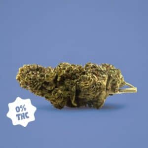GORILLA GLUE