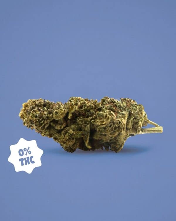 GORILLA GLUE