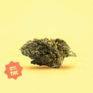 PINEAPPLE EXPRESS - 12G