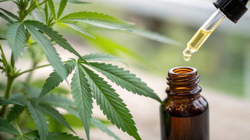 huile fleur résine CBD garanti sans THC