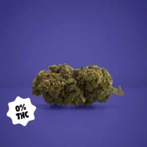 WHITE WIDOW