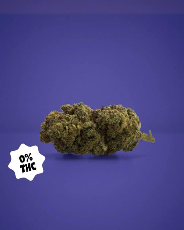 WHITE WIDOW