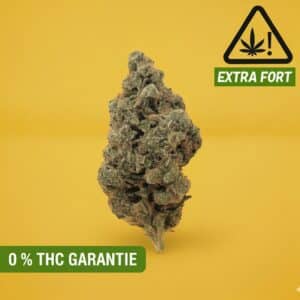 Acapulco gold HPC sans THC - BUDDY BOO