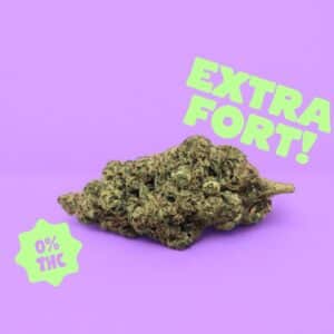Blueberry Gelato HPC