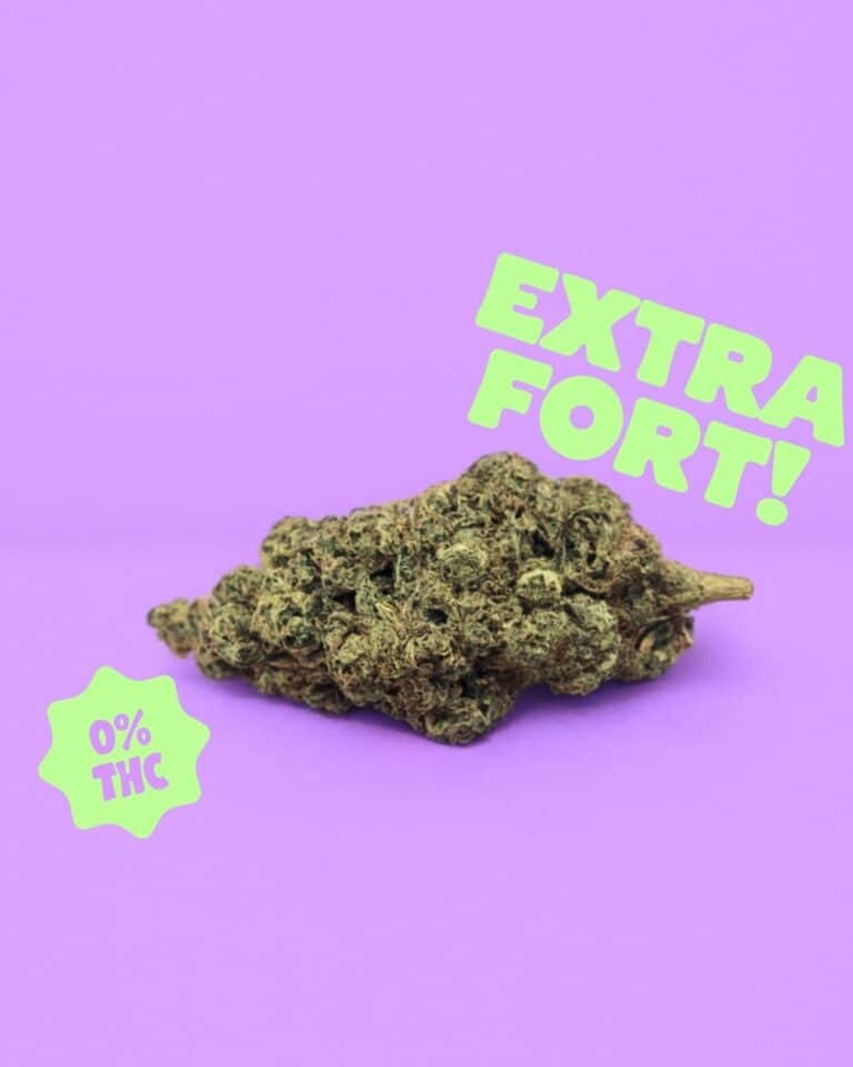 Blueberry Gelato HPC