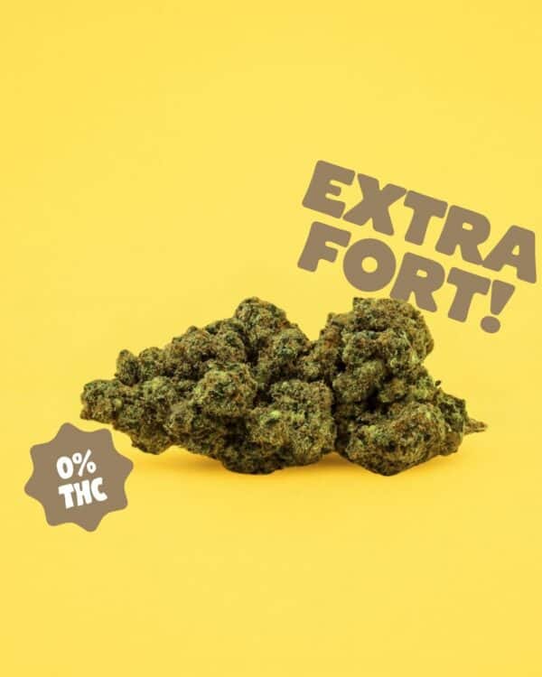 ACAPULCO GOLD