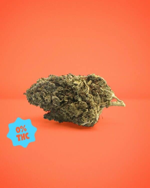 JACK HERER