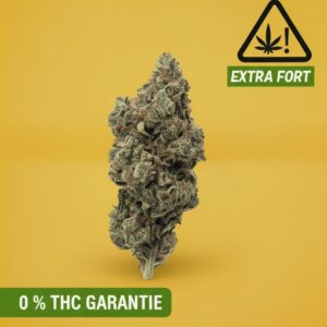 Acapulco gold HPC sans THC - BUDDY BOO