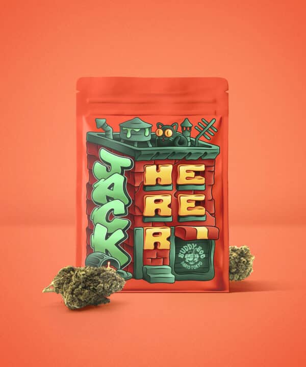 Poche de fleurs CBD sans THC Jack Herer sans THC Buddy Boo avec visuel coloré