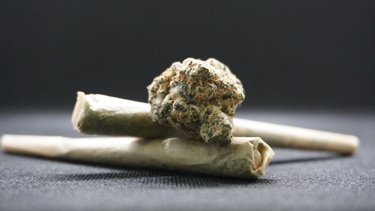 Fleurs haze de CBD sans THC Buddy Boo et joints prêts à l’emploi