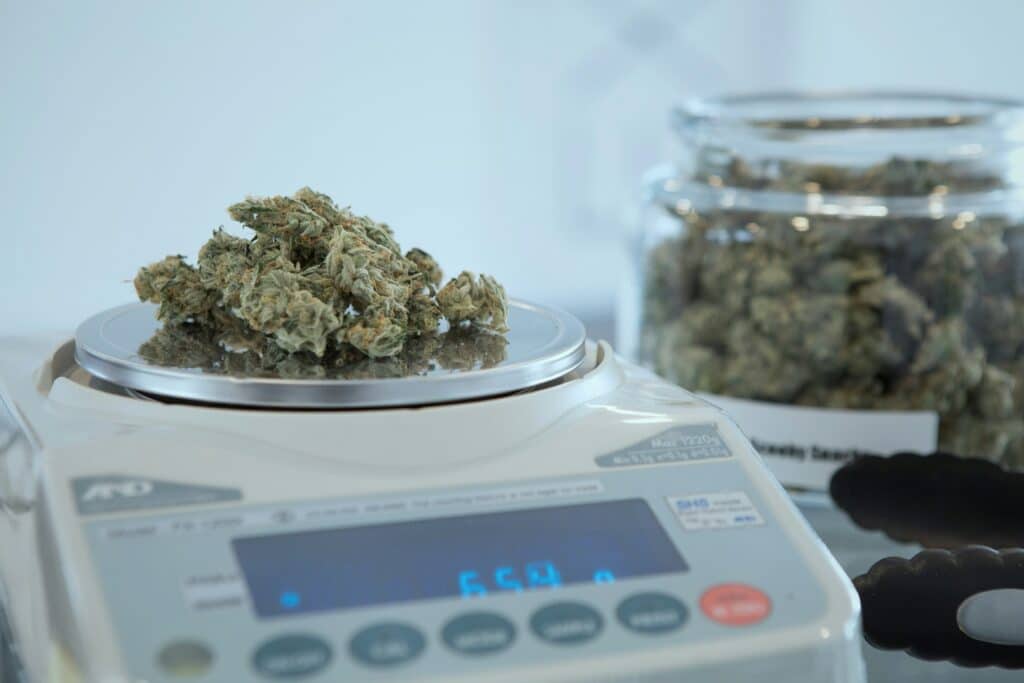Fleurs de White Widow CBD sans THC pesées avec précision par Buddy Boo