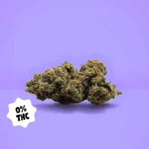 Photo de la fleur CBD Ghost Train Haze 0% THC de la marque BUDDY BOO