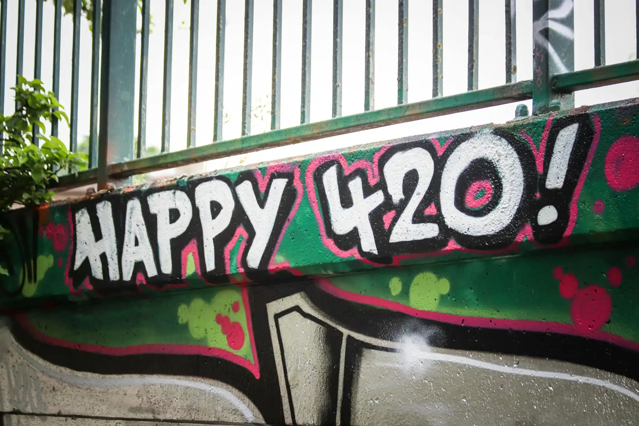 Graffiti 420 coloré avec l’inscription “Happy 420” réalisé dans un style urbain, associé à BUDDY BOO