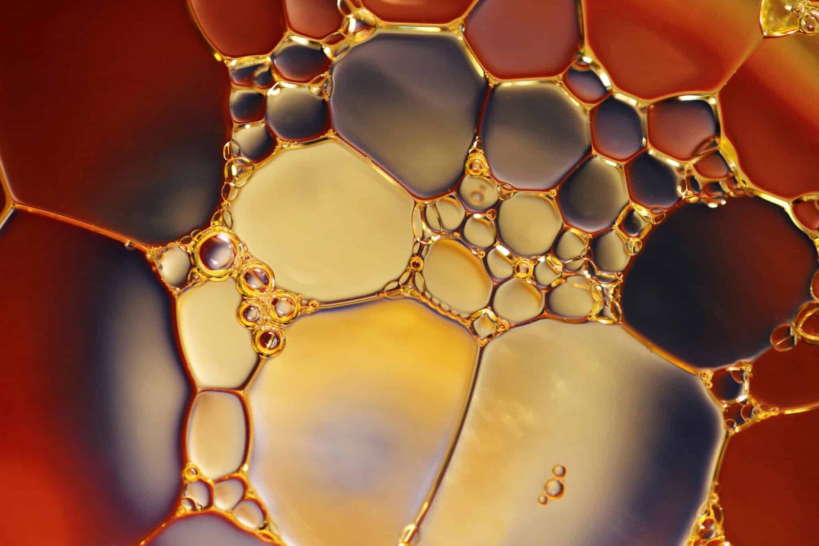 Huile de cannabidiol pure illustrant les effets secondaires potentiels du CBD selon BUDDY BOO.