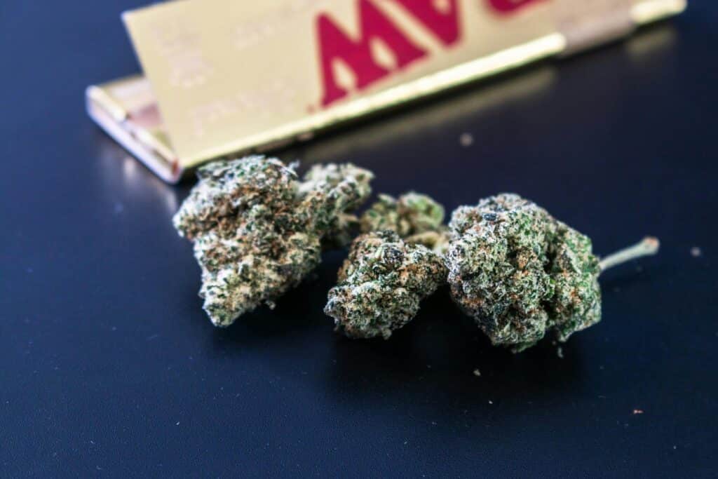 Fleurs séchées de cannabis sans effet BUDDY BOO, riches en CBD pur et sans THC