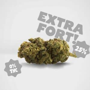 Fleur Silver Haze HPC extra forte 0% THC proposée par BUDDY BOO, variété premium de CBD sans THC