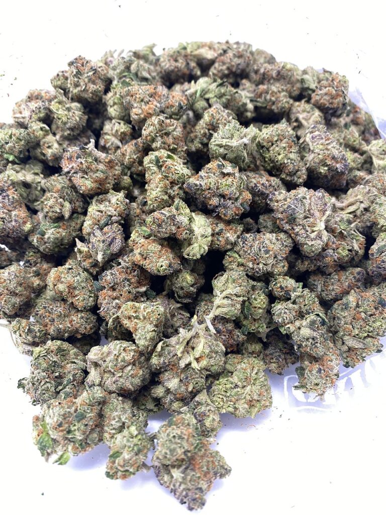 Fleurs Silver Haze HPC séchées, variété premium de CBD sans THC signée BUDDY BOO