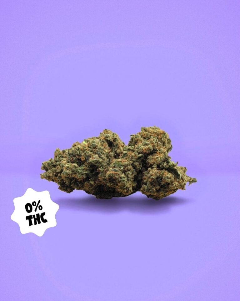 Photo de la fleur Amnésia CBD 0% THC de la marque BUDDY BOO