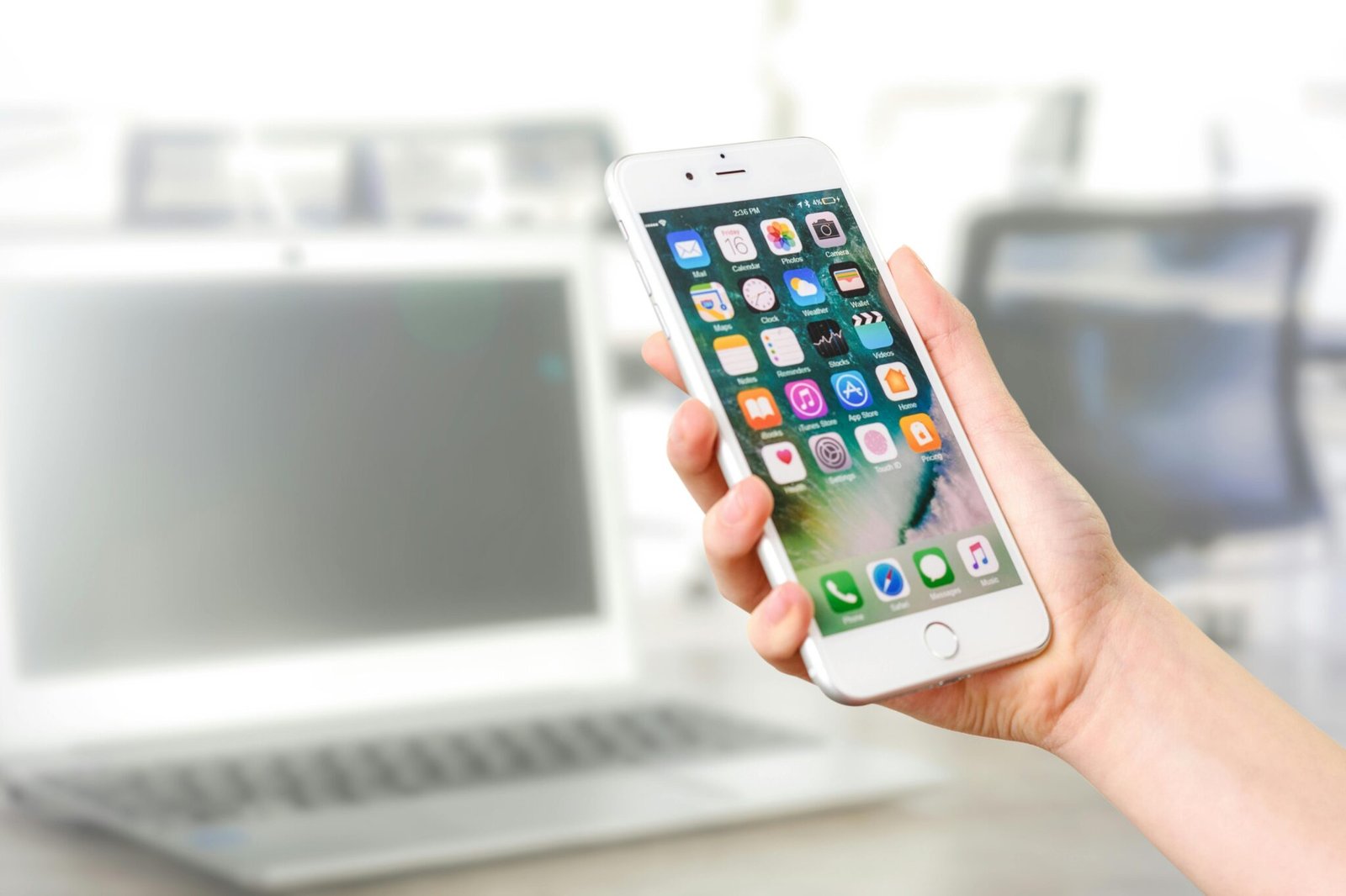Smartphone affichant des applications cannabis utilisées pour s’informer sur le CBD légal sans THC proposé par BUDDY BOO