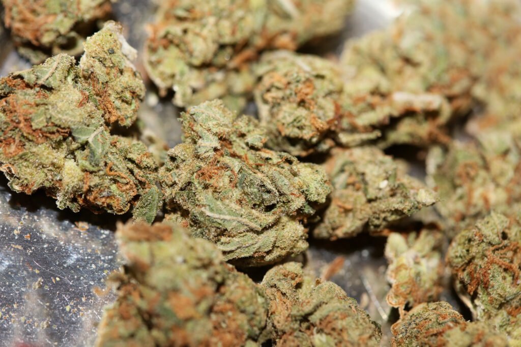 Fleur CBD pas cher en gros plan, riche en trichomes et sans THC – BUDDY BOO