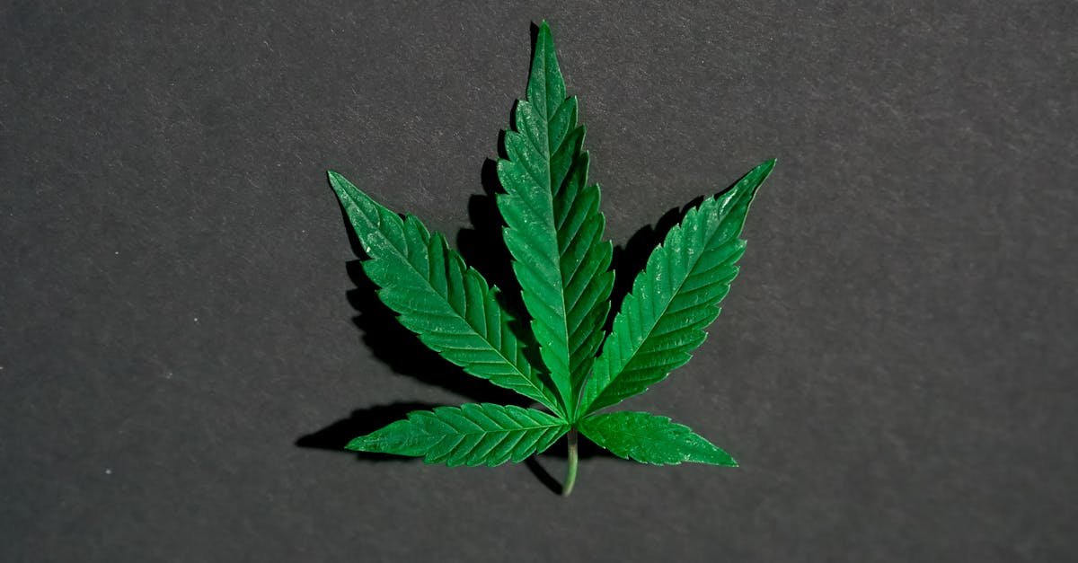 ontdek onze cannabis shop met een breed assortiment aan hoogwaardige producten. bezoek ons voor de beste kwaliteit en service.