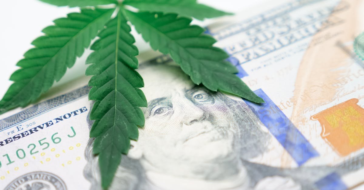 ontdek ons uitgebreide assortiment in onze cannabiswinkel: hoogwaardige producten, deskundig advies en een veilige winkelervaring.
