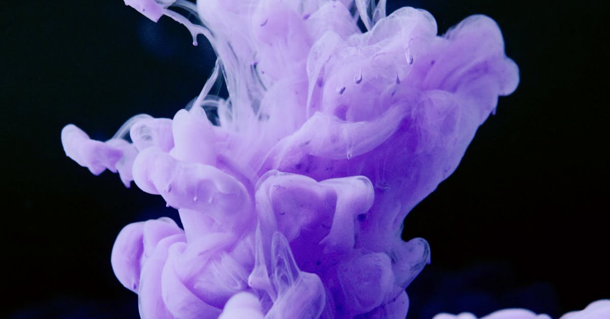 ontdek de betoverende wereld van purple haze, een iconische cannabissoort bekend om zijn sterke, fruitige aroma en ontspannende effecten.