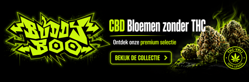 CBD Bloemen zonder THC