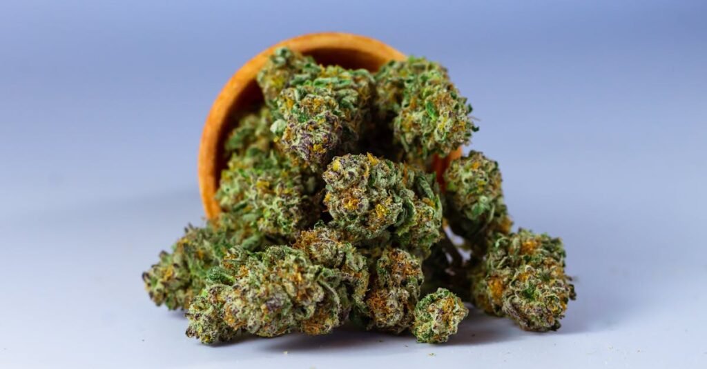 ontdek alles over thc, de belangrijkste psychoactieve stof in cannabis, inclusief effecten, gebruik en wetgeving.