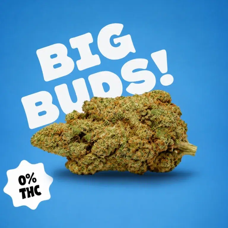 Fleur CBD sans THC Blue Zushi Premium Indoor avec badge 0% THC - Buddy Boo