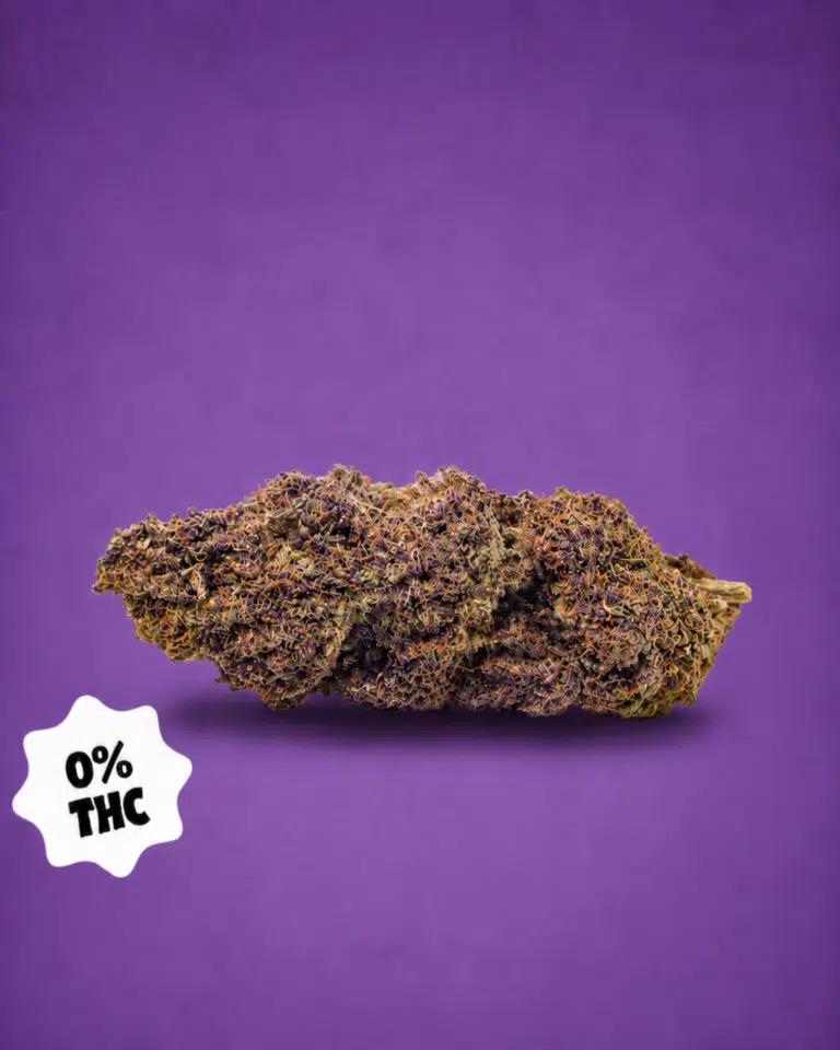 Fleur Purple Punch sans THC sur fond violet avec badge 0% THC